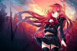 开云体育中国-联合杯奏凯唤醒王者记忆，蒂姆从美网失意到团体赛封神的涅槃之路