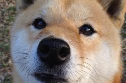 开云体育入口-状态之火，何以燎原？