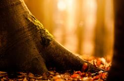 开云体育-封锁与接管，地缘战略与篮球殿堂的统治辩证法