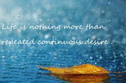 开云体育-年度焦点之战之夜，赖斯的中场教科书，一场绿茵艺术的完整表达