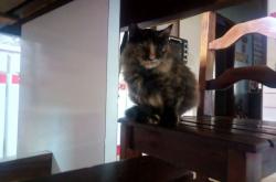 开云体育-完美风暴，奥亚尔萨瓦尔的个人交响，希腊的压制美学