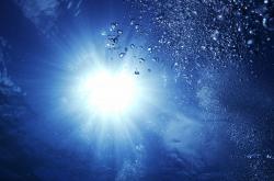 开云体育入口-选项（任选其一）