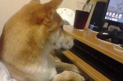 开云体育官网-NBA季后赛之夜，伊布在宇宙交叉点的隔空对话