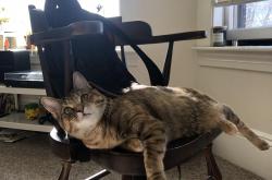 开云体育平台APP-用数据铭刻时代，当莱万在欧冠之夜完成了对防线的理论解构