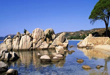 开云体育官网-雷诺车队碾压哈斯车队，汉密尔顿统治全场