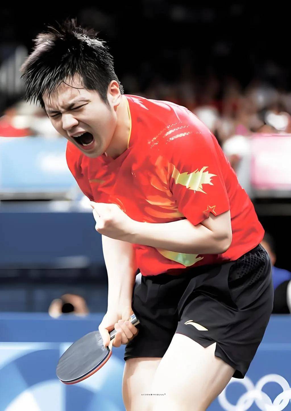 瑞典队碾压法国队,樊振东点燃赛场 瑞典队碾压法国队,樊振东点燃赛场