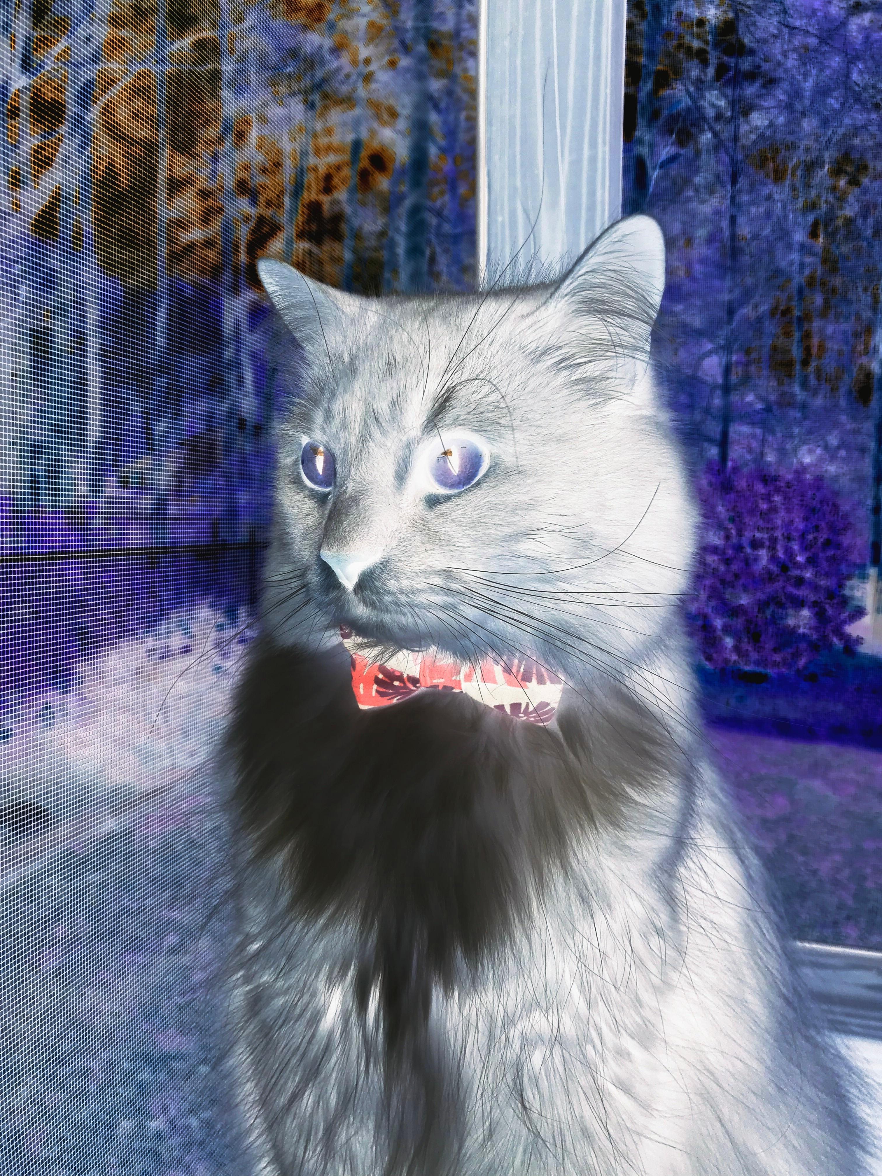 破壁时刻，当法国铁骑碾过绝境，梁靖崑重写乒乓法则