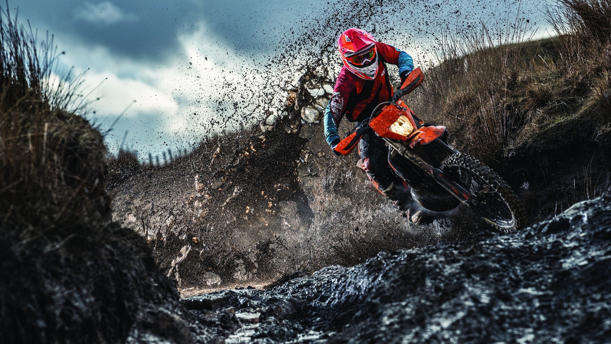 末节之王锡安嗜血觉醒,雄鹿闪电战碾碎国王—双子星隔空上演统治力对决