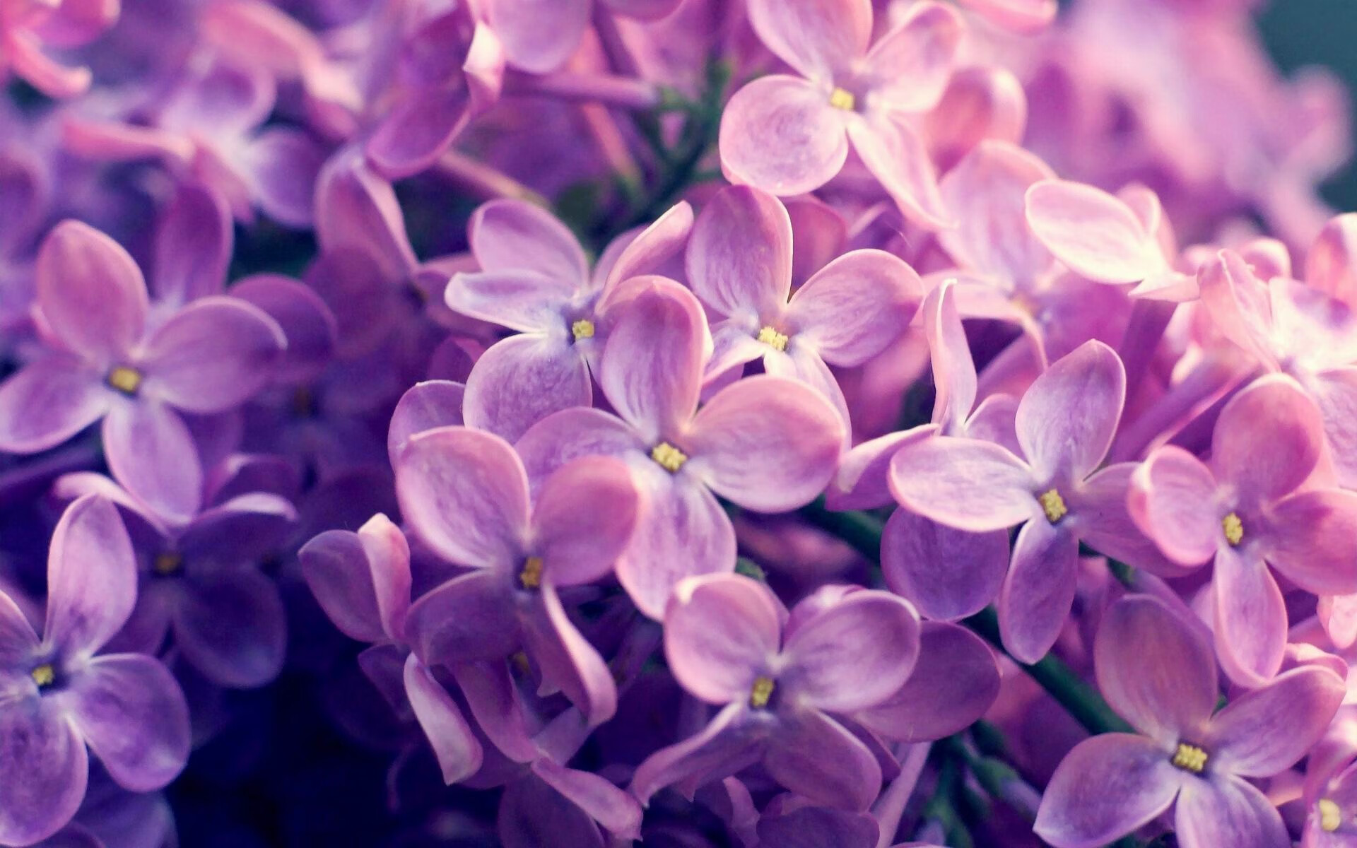 黑蜂风暴席卷奥兰多，当爱德华兹化身关键先生，联盟听到了什么声音？