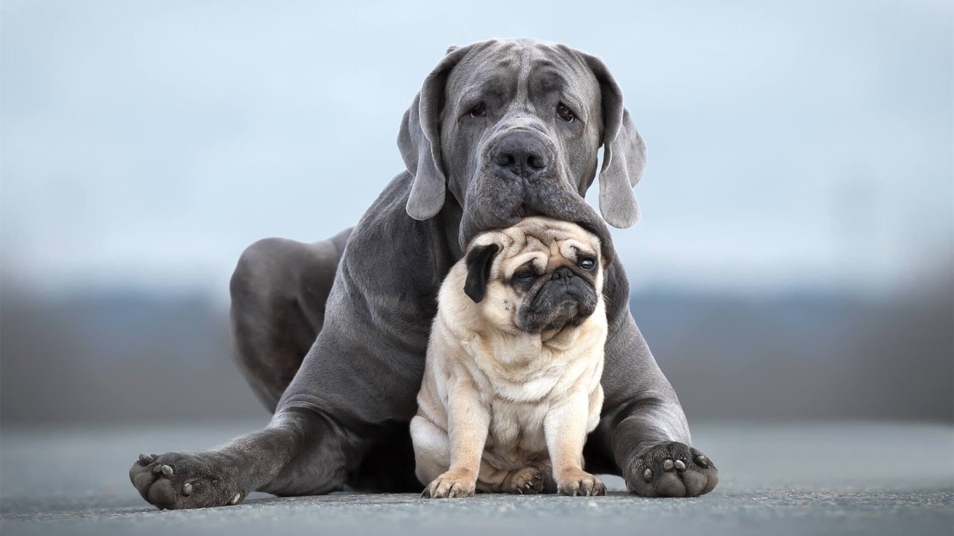淬炼四年，一战倾城，比利亚雷亚尔的奥运周期关键战如何击穿曼城王朝