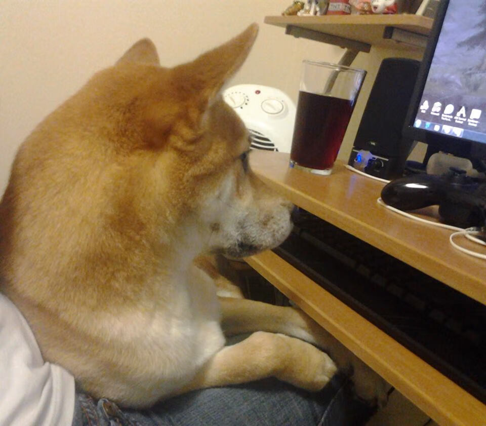 NBA季后赛之夜,伊布在宇宙交叉点的隔空对话