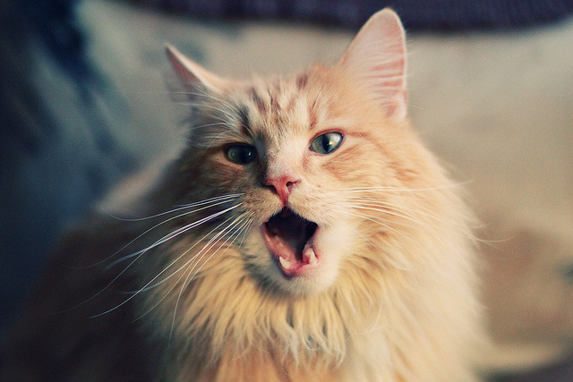 欧战烽火,雷恩强力压制比利亚雷亚尔,莱奥化身关键先生定乾坤