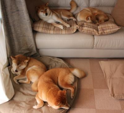 赛道与球场的跨界共鸣，F1争冠夜中杰伦·格林的巨星闪耀