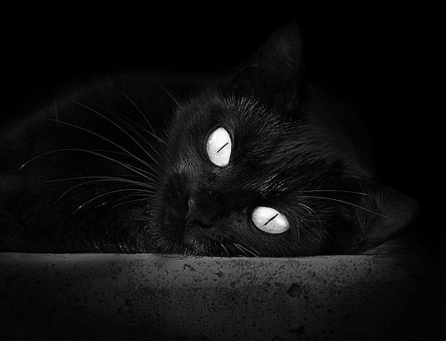 太阳防线遭遇米切尔冰火两重天，步行者巨星完胜撕碎凤凰城防线