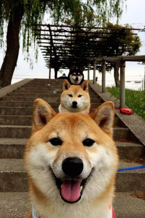 奥运前夜的非典型救赎，伦纳德用一场错误时空的胜利敲开国家队大门