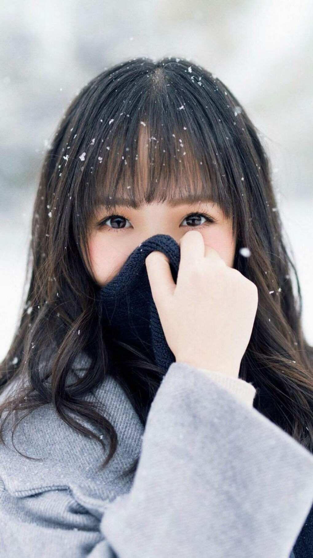 手术刀般精准！切特三记封盖提前宣判灰熊出局