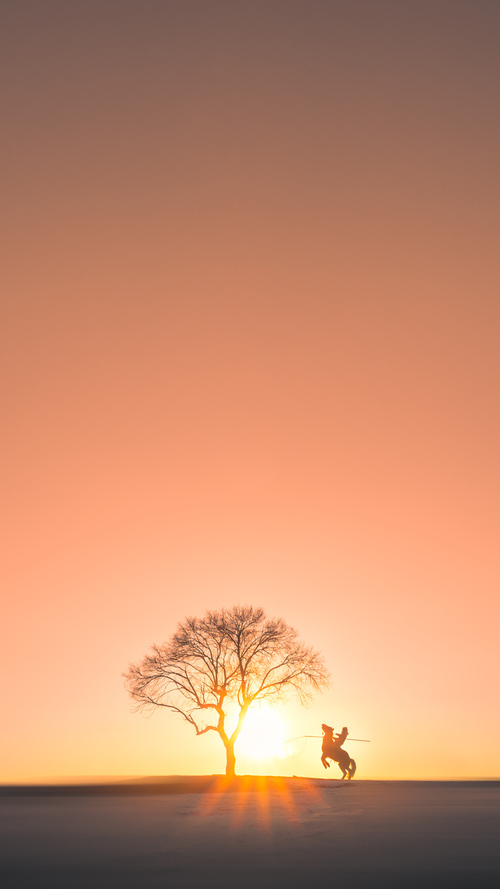 当世仅见，班凯罗如入无人之境，鹈鹕借其锋芒提早锁定奇才败局