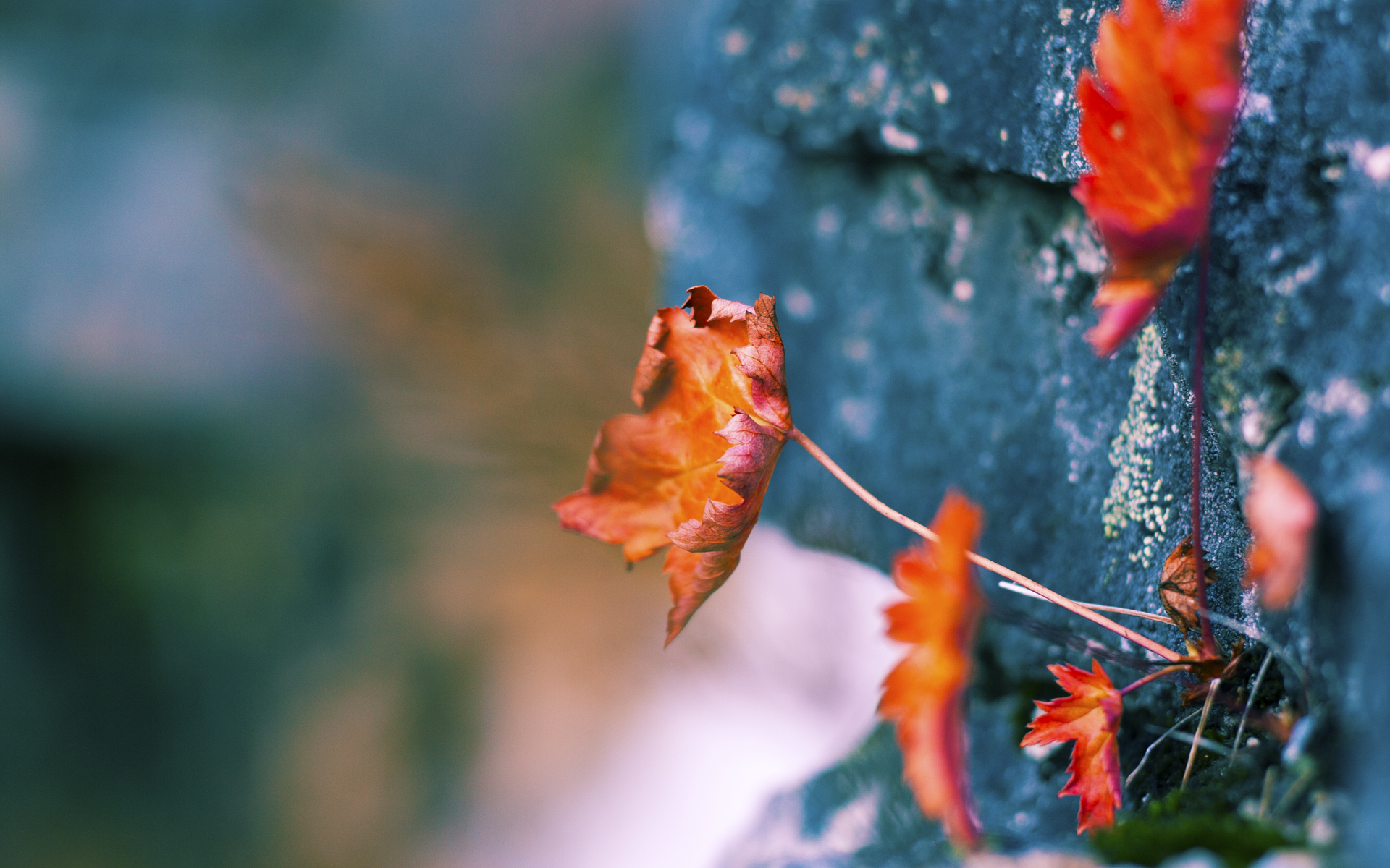 灵魂燃烧，NBA总决赛之夜，浓眉如何真正点燃了赛场