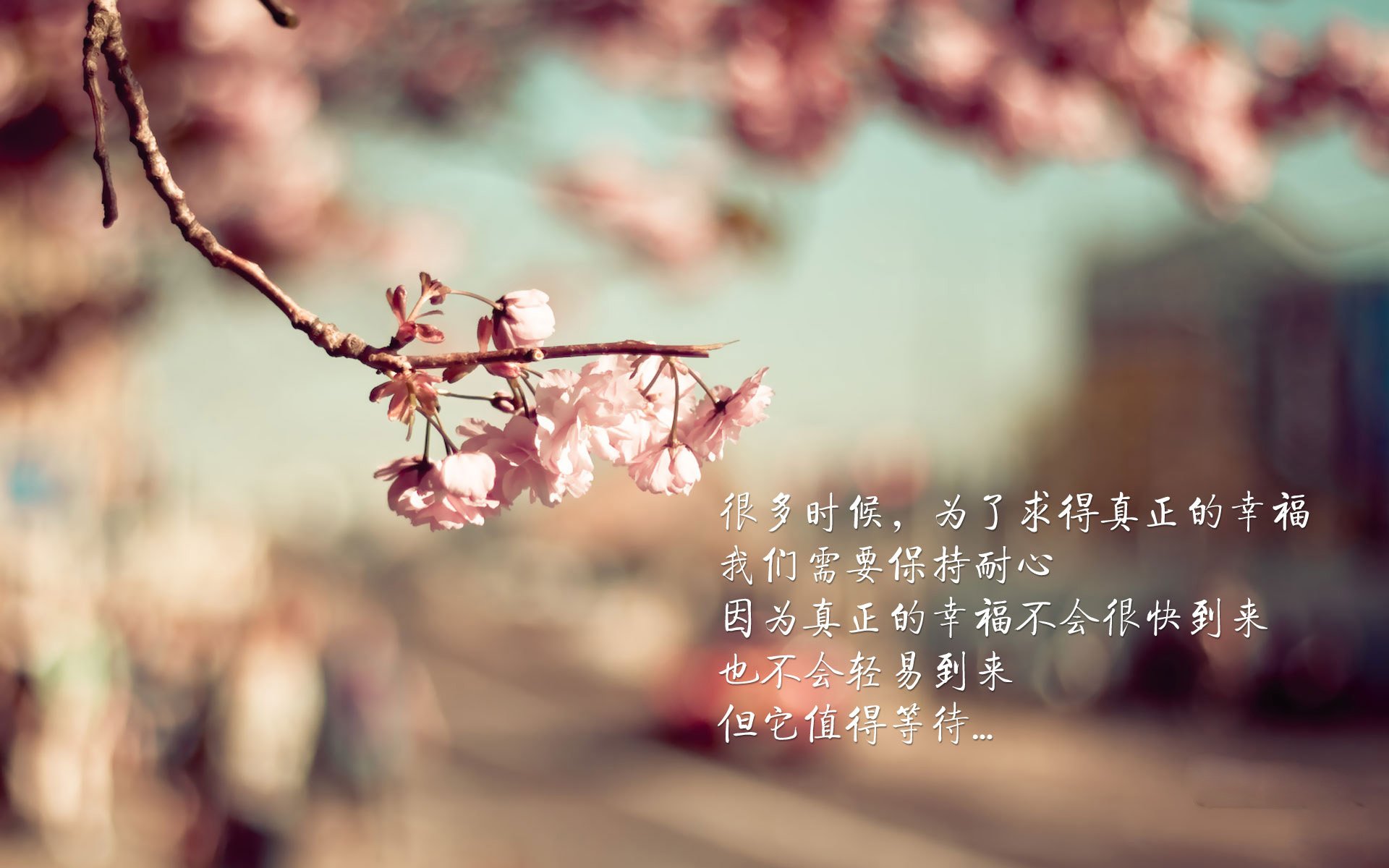 光影交错,2026世界杯A组焦点战,德布劳内挥洒中场魔法,罗马尼亚锋芒毕露,绝杀哥伦比亚