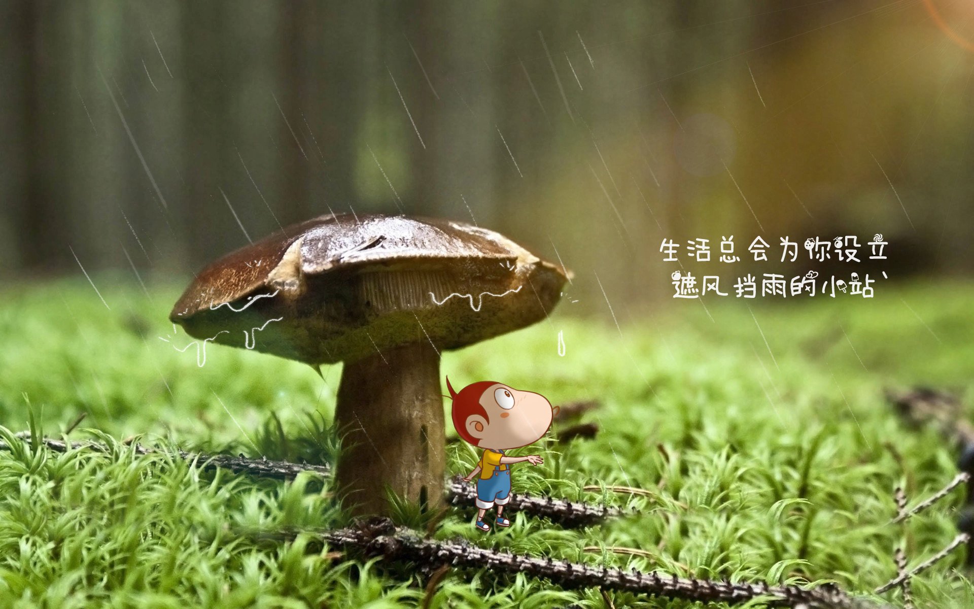 红绿狂想曲，当C罗的绝唱撞上卢卡库的铁蹄—2026世界杯E组降维打击背后的战术启示录